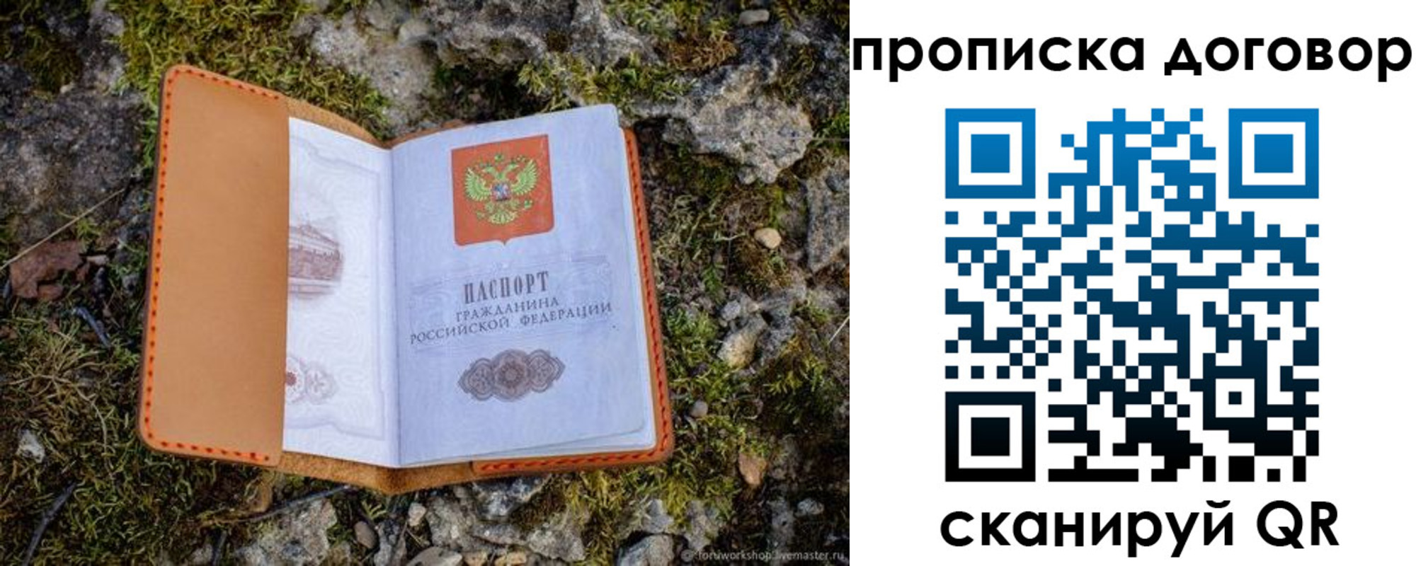временная прописка в Химках
